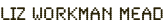 shapeimage_2_link_0