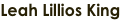 shapeimage_2_link_0