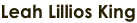 shapeimage_2_link_1