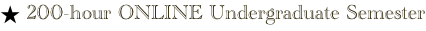 shapeimage_2_link_1
