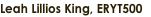 shapeimage_2_link_2